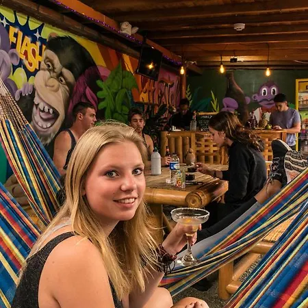 Purple Monkey Hostel